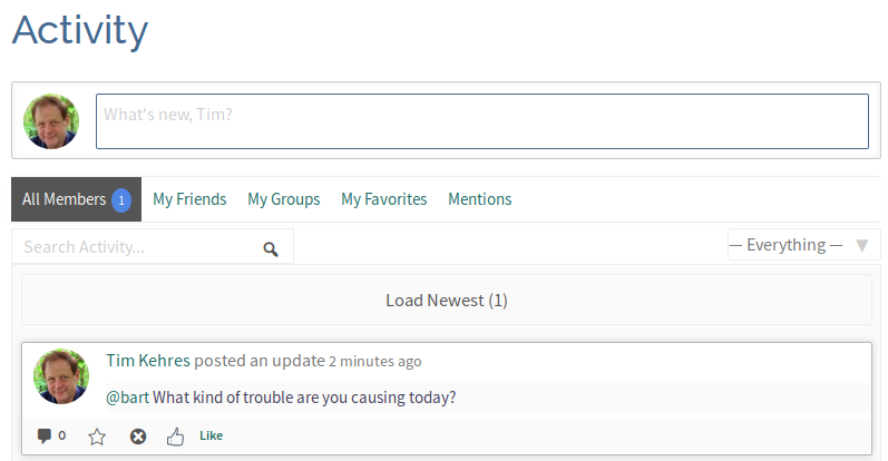 Member Activity Stream