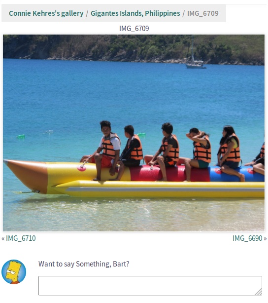 Member Image Gallery Comment